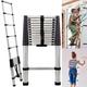 Telescopic Ladders Extendable Step Ladders Stainless Steel Roof Telescoping Ladder for Gutter Cleaning, Multi-Purpose Loft Ladder Extension Folding Ladder, Collapsible Retractable Library Ladder