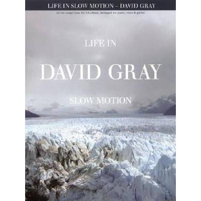David Gray Life in Slow Motion