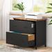 Lateral File Cabinet, 2-Drawer Filing Cabinet For Home Office