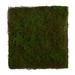 Nearly Natural Moss Mat 20 H Artificial Plant 20 H x 20 W x 1 D Green