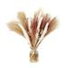 Pianpianzi Fall Stems for Autumn Fake Pompous Grass Artificial Plants Garland Grass 30pcs 45cm Grass Fluffy Exaggerated Grass Flower Arrangement Dry Flower Grass Dry Plant Home Wedding Decor Beige