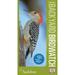 Pre-Owned Audubon Pocket Backyard Birdwatch [With Fold Out I.D. Chart] (Paperback) 0756633451 9780756633455