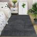 FairOnly Fluffy Area Rug 6 x 9 Modern Indoor Plush Shaggy Area Rugs Soft Comfy Carpet for Bedroom Living Room Dark Gray