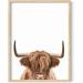 HAUS AND HUES Highland Cow Wall Art - Highland Cow Print and Bull Wall Art Cow Wall Decor Cow Pictures Wall Decor | Farmhouse Pictures Cow Print Black Animal Bull Pictures (Unframed 12x16)