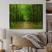 Millwood Pines Pathway In Green Forest - Traditional Wood Wall Art Panels - Natural Pine Wood in White | 24 H x 36 W x 1 D in | Wayfair