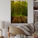 Millwood Pines Golden Sunlight In Pine Forest - Traditional Wood Wall Art - Natural Pine Wood in Brown/Green/Yellow | 20 H x 12 W x 1 D in | Wayfair