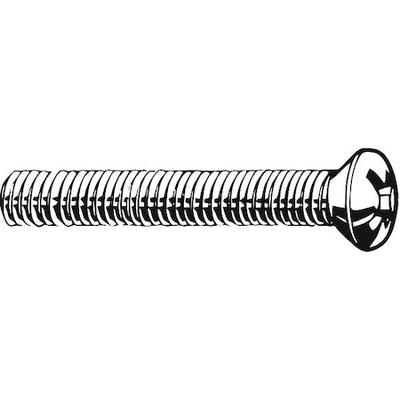 ZORO SELECT U51320.025.0300 1/4"-20 x 3 in Phillips Oval Machine Screw, Plain