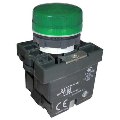 DAYTON 30G209 Pilot Light, LED, 22mm, 24VAC/DC, GR, Plastic