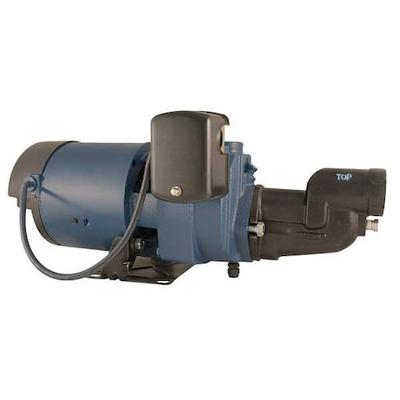 FLINT & WALLING EK10S Jet Pump System,Shallow Well,1 HP