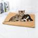 Basics Self Warming Pet Bed For Cat or Dog Rectangle Pet Heating Pad Blanket 24 x 18 Inches