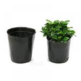 Plant Nursery Room Pots Plants Garden Nursery Pots 5 Size Round Flower Seedlings Sowing Growing Pot Home Garden Planter 100pcs