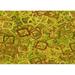 Ahgly Company Machine Washable Indoor Rectangle Transitional Golden Brown Yellow Area Rugs 2 x 4