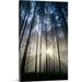 Great BIG Canvas | Oregon Eugene Spencer Butte Park Sunburst Through Trees In Forest Canvas Wall Art - 16x24