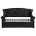 Willa Arlo™ Interiors Thame Twin Daybed w/ Trundle Upholstered/Polyester in Black | 52.75 H x 43.5 W x 90.75 D in | Wayfair