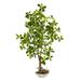 Nearly Natural Green 4 Schefflera Bonsai Artificial Plant in Planter