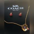 Coach Accessories | Coach Ladybug Earrings And Necklace | Color: Black/Red | Size: Os