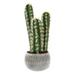 Potted Cactus Fake Plant - 22-inch Artificial Hedge Cactus Succulent in Clay Fiber Pot by Pure Garden