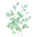 Winston Porter Transparent Leaves Eucalyptus by Danhui Nai Wrapped Canvas Photograph Canvas | 30 H x 20 W x 1.25 D in | Wayfair