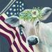 The Holiday Aisle® Patriotic Cow - Wrapped Canvas Painting Canvas | 30 H x 30 W x 1.25 D in | Wayfair 03E94C14637745AD8DB0AA91D02AAA33