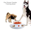 Gamelle interactive pour chien et chat design roman alimentation lente distributeur de nourriture