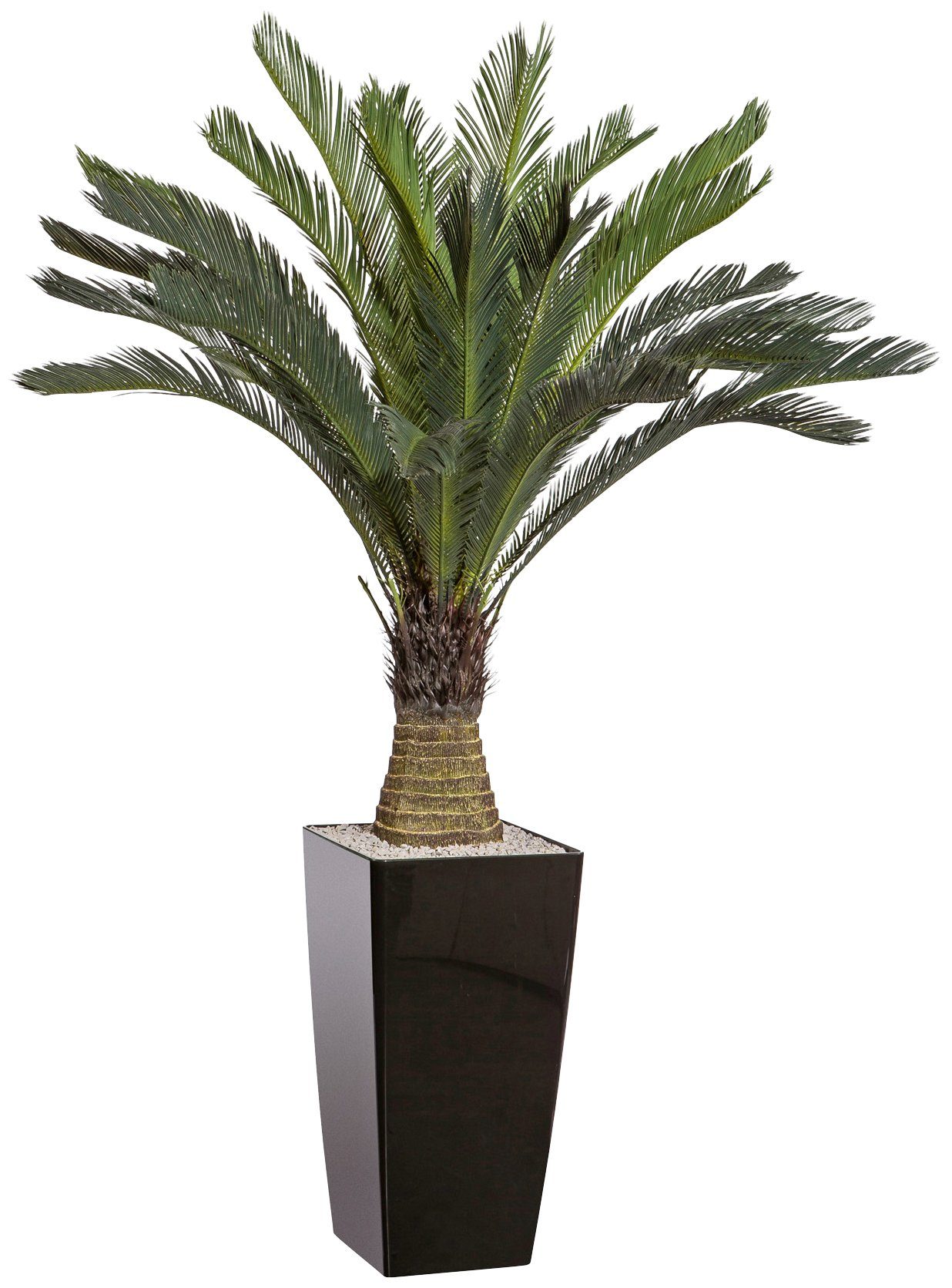 Kunstpalme CREATIV GREEN "Cycaspalme", grün, H:130cm, Kunststoff, Kunstpflanzen, im Kunststofftopf