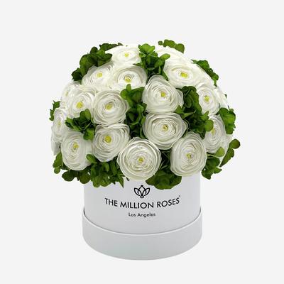 Classic White Box | White Persian Buttercups & Green Hydrangeas