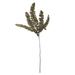 Vickerman 651797 - 6-10" Green Felci Fern Stem - 6/Pk (H3FEL150) Dried and Preserved Ferns