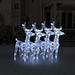 vidaXL Christmas Reindeers Xmas Decoration Light Display with LEDs Acrylic - 160 LEDs