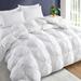 Puredown Winter Down Comforter Down/Goose Down, Cotton in White | 108 H x 98 W x 4.8 D in | Wayfair PD-GC15025-K