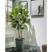 Vintage Home Panama 60"H Real Touch Fig Tree w/ Eco Planter (33X33x60") Plastic/Fiberstone | 80 H x 16 W x 16 D in | Wayfair VHX171201