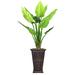 Vintage Home Panama Philodendron Plant in Planter Plastic/Fiberstone | 77 H x 58 W x 74 D in | Wayfair VHX136201
