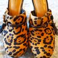 Coach Shoes | Fantastic Coach Leopard Print Fabric And Leather Clogs | Color: Black/Brown | Size: 7.5