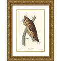Audubon John James 17x24 Gold Ornate Wood Framed with Double Matting Museum Art Print Titled - Long-eared Owl