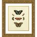 Knorr 20x23 Gold Ornate Wood Framed with Double Matting Museum Art Print Titled - Knorr Butterflies IV