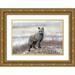 Catta 24x17 Gold Ornate Wood Framed with Double Matting Museum Art Print Titled - Cross Fox