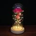 Beauty and The Beast Rose Rose Kit Red Silk Rose and Led Light with Fallen Petals in Glass Dome on Wooden Base Valentine s Day Anniversary Birthday