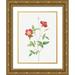 Redoute Pierre Joseph 12x14 Gold Ornate Wood Framed with Double Matting Museum Art Print Titled - Rose Indica Stelligera Bengal Star Rosa indica stelligera