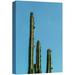 wall26 Canvas Print Wall Art Tropical Green Mexico Desert Cactus Succulent Nature Wilderness Photography Realism Floral Botanical Multicolor for Living Room Bedroom Office - 12 x18