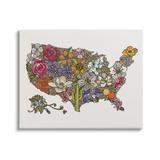 Stupell Industries United States Country Map Detailed Botanical State Flowers Graphic Art Gallery Wrapped Canvas Print Wall Art Design by Valentina Harper