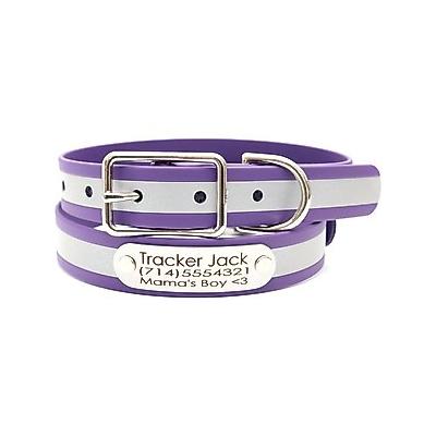 "Mimi Green Waterproof Reflective with Riveted Name Plate Dog Collar, Purple, Medium 1"""