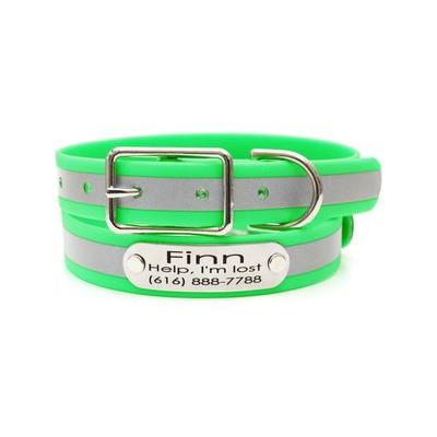 "Mimi Green Waterproof Reflective with Riveted Name Plate Dog Collar, Green, Large 1"""