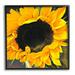 Stupell Industries Bold Yellow Summertime Sunflower Close Up Blossom Graphic Art Black Framed Art Print Wall Art Design by unknown