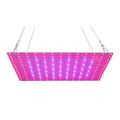 LED Grow Light Red Blue Full Spectrum 169 LEDs Grow Lamps LED Panel Grow Light for Succulents Hydroponic Greenhouse Indoor Plant Flower Vegetative Growth