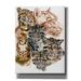 Epic Graffiti Clouded Leopard with Ghost Image by Barbara Keith Canvas Wall Art 12 x16