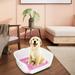 Removable Dog Potty Tray with Protection Wall Every Side Splashing Keep Floors Clean Small Dog Urinal with Removable Post Dog Toilet Pink