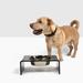 Hiddin Smoke Grey Single Pet Bowl Feeder Plastic (affordable option)/Metal/Stainless Steel (easy to clean) in Gray | 5 H x 10 W x 9.5 D in | Wayfair