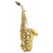 CACAGOO Brass Golden Carve Pattern Bb Bend Alt Soprano Saxophone with Case