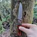 Pocket Folding Knife 5CR13 blade +handle (stainless steel and colored wood) for Hunting Camping Fishing Hiking Outdoor