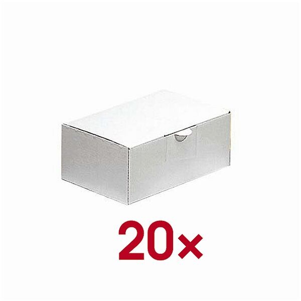 Nestler 20er-Pack Versandkarton Wellpappe 1-wellig 23,5 x 16,0 x 9,4 cm weiß, 23.5x9.4x16 cm Image