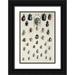 Rowan Marian Ellis 13x18 Black Ornate Wood Framed with Double Matting Museum Art Print Titled - Thirty-Four Insects